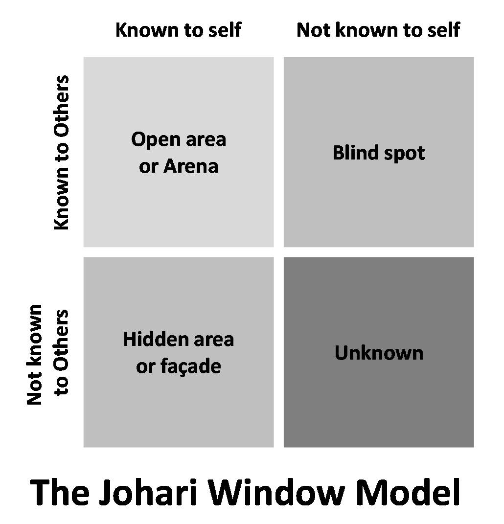 Virtual Johari Window